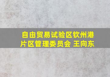 自由贸易试验区钦州港片区管理委员会 王向东